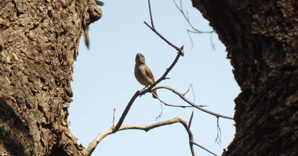 Madhya Pradesh Image 1