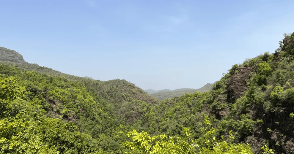 Madhya Pradesh Image 3